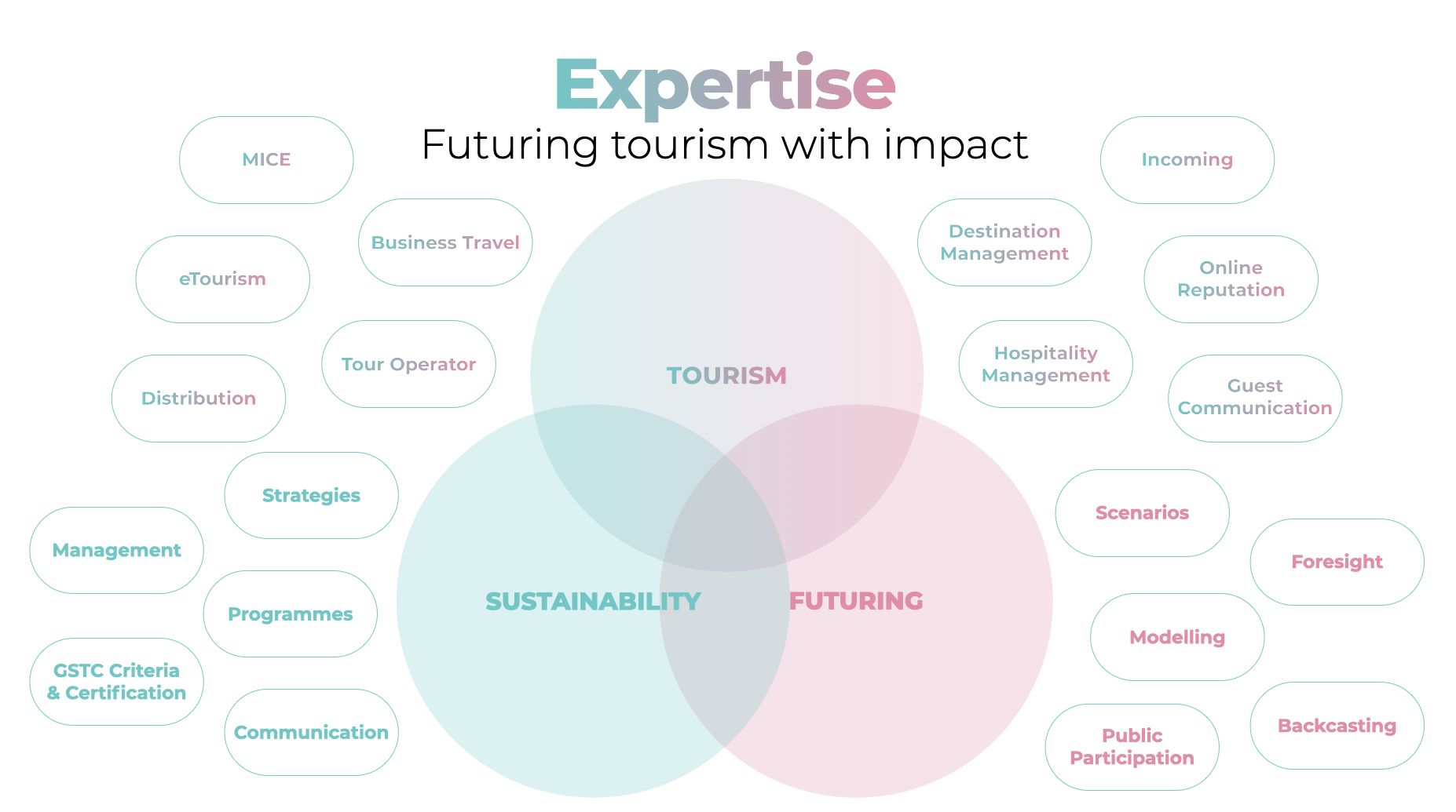Tourism Impact Expertise